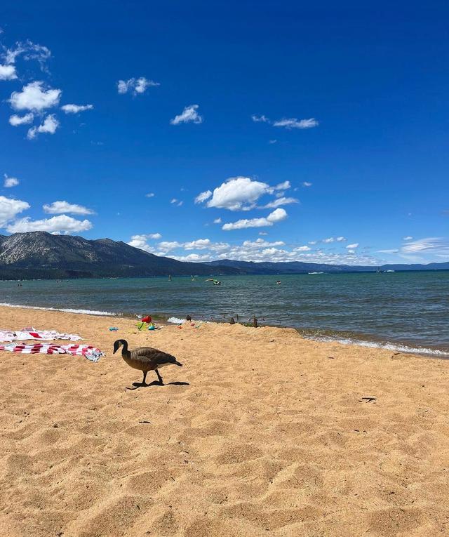 Pope Beach on Lake Tahoe