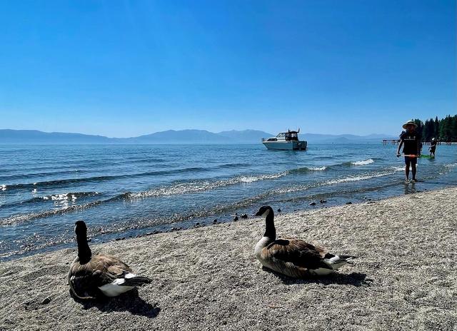 Sugar Pine Point Beach