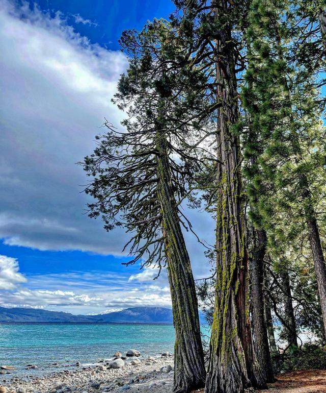 Sugar Pine Point Beach