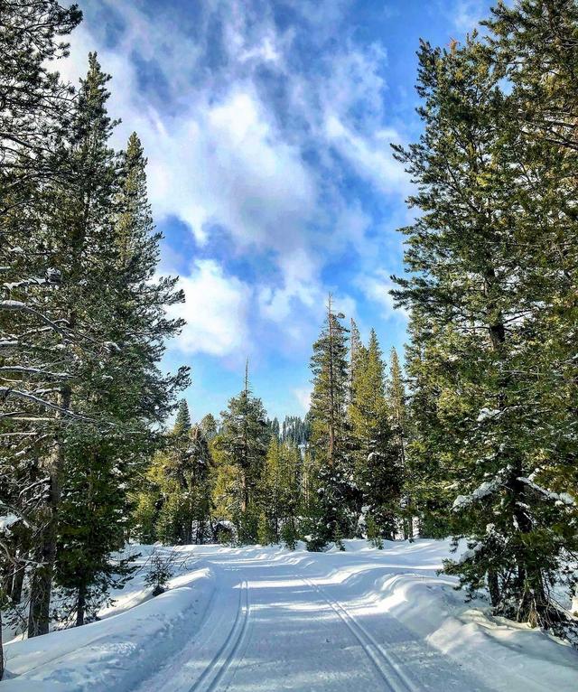 Royal Gorge Cross Country Ski Resort