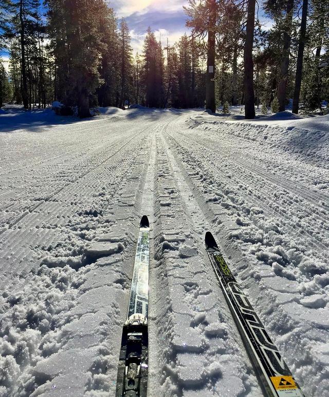 Royal Gorge Cross Country Ski Resort