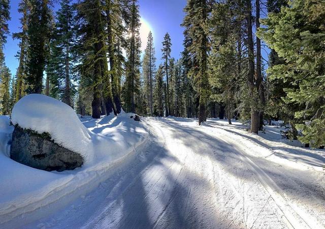 Royal Gorge Cross Country Ski Resort