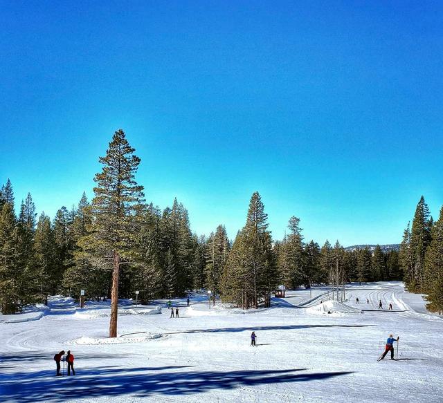 Royal Gorge Cross Country Ski Resort