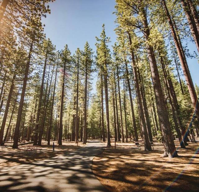 Tahoe Valley Campground