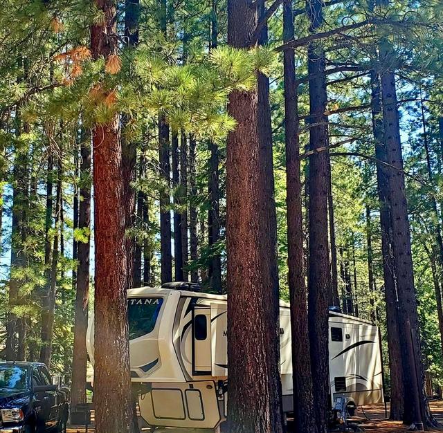 Tahoe Valley Campground