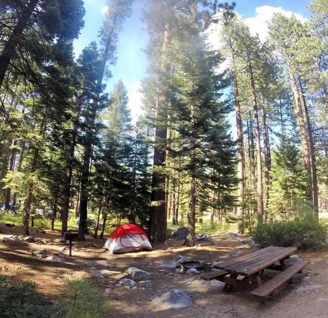 Fallen Leaf Campground