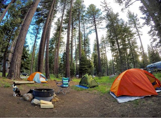 Fallen Leaf Campground