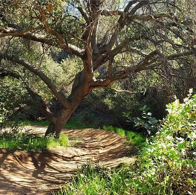 Los Robles Trailhead