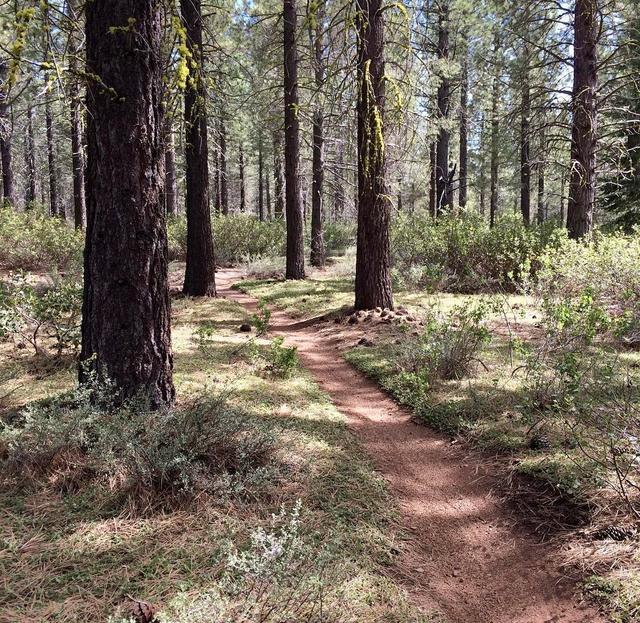 Sawtooth Trailhead