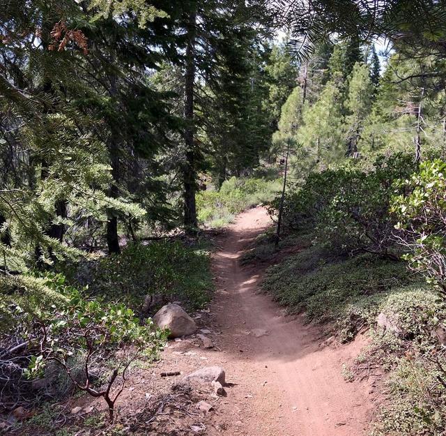 Sawtooth Trailhead