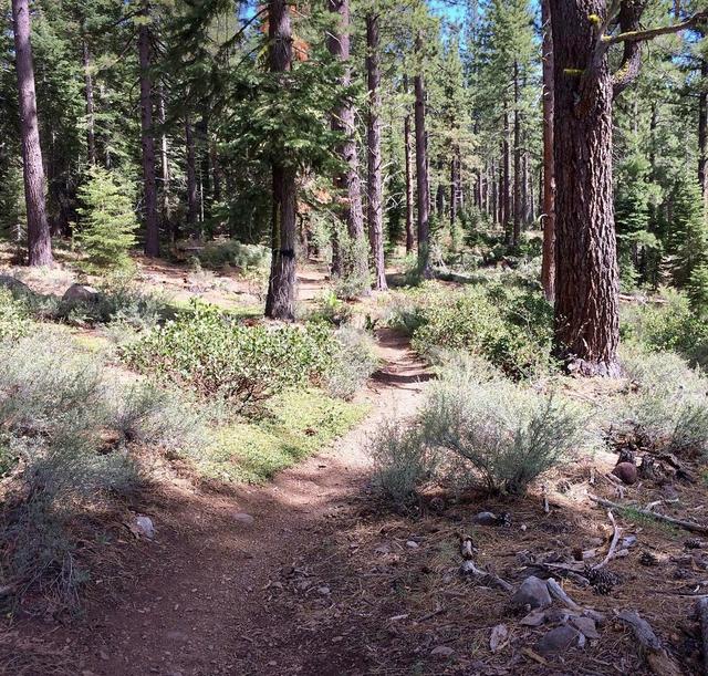 Sawtooth Trailhead