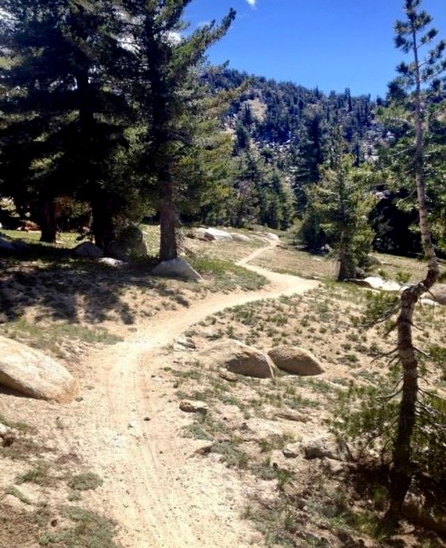 Tahoe Meadows Tahoe Rim Trailhead - IMBA Epic 