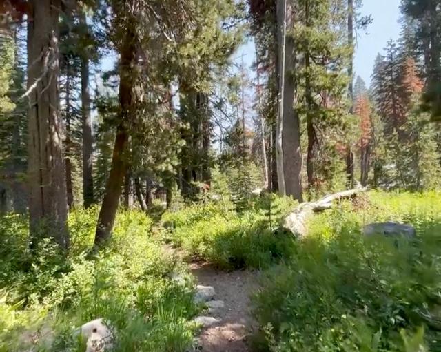 Twin Lakes Trailhead