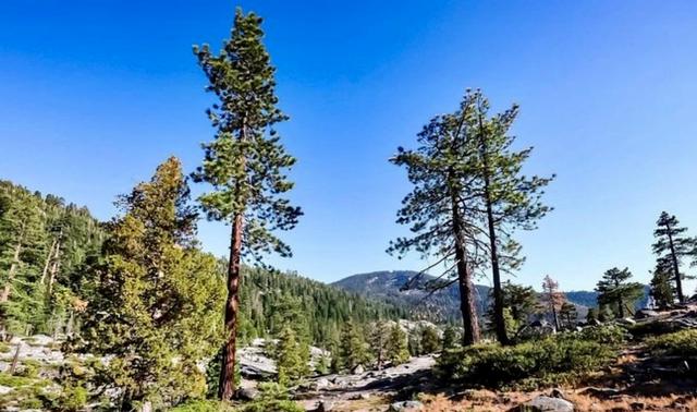 Pyramid Creek Trailhead