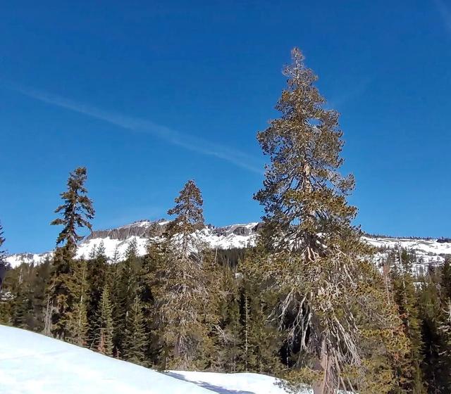 Donner Summit California State Snopark