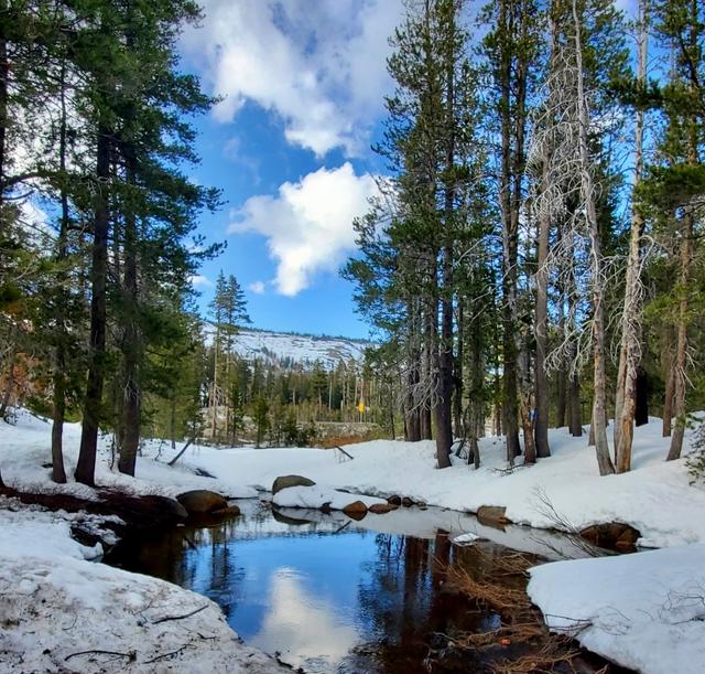 Donner Summit California State Snopark