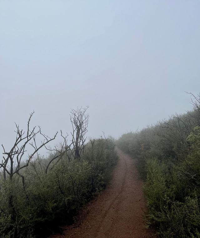 Summit Trailhead