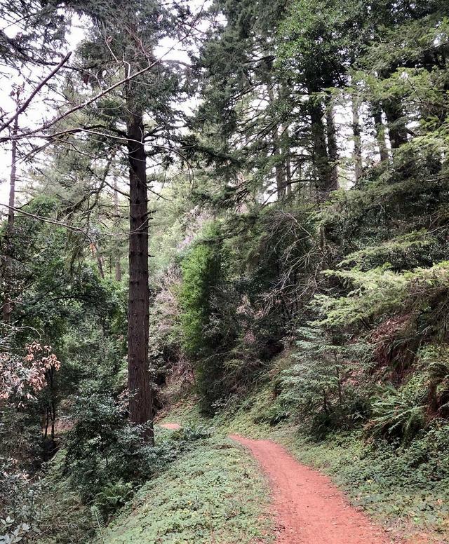 El Corte de Madera Creek Preserve