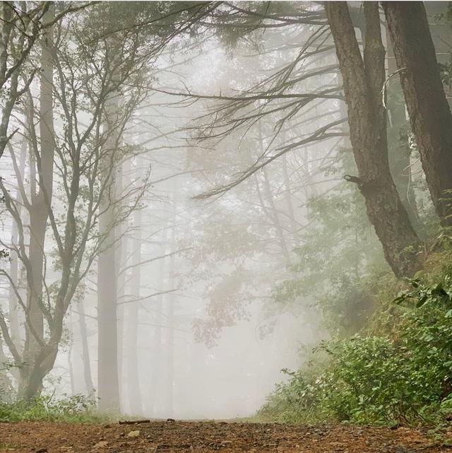 El Corte de Madera Creek Preserve