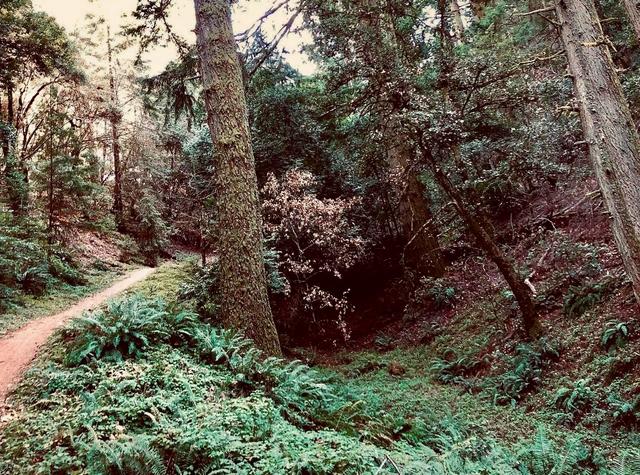 El Corte de Madera Creek Preserve