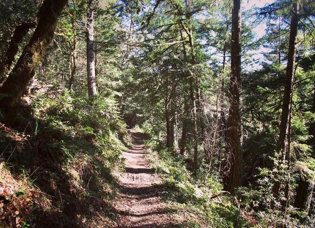 El Corte de Madera Creek Preserve