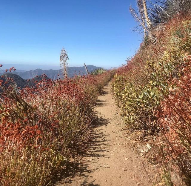 Strawberry Peak Loop Trailhead