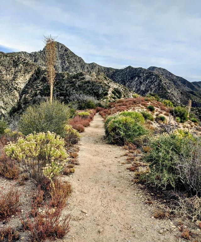 Strawberry Peak Loop Trailhead