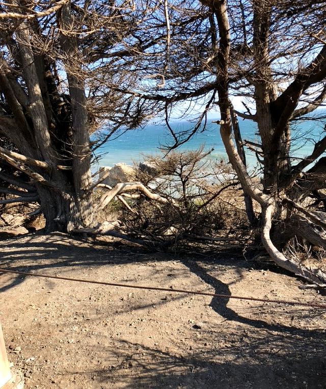 Leo Carrillo State Park Campground