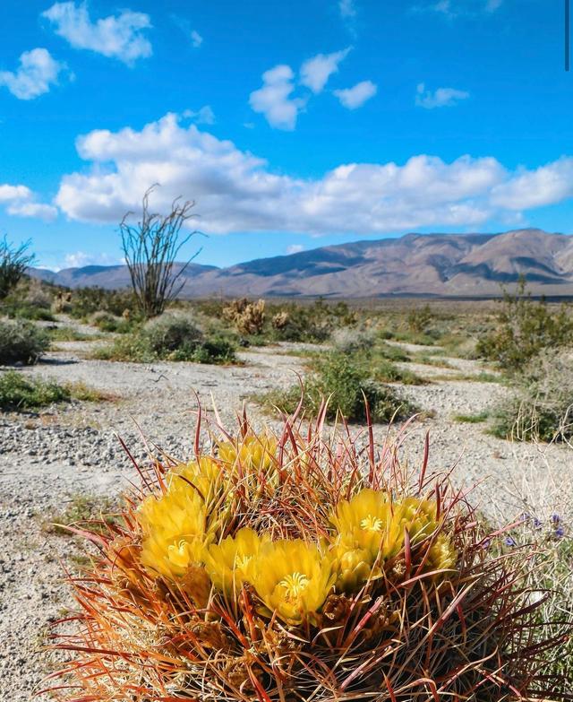 Bow Willow Campground