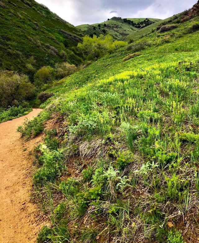 Matthew Winters Trailhead