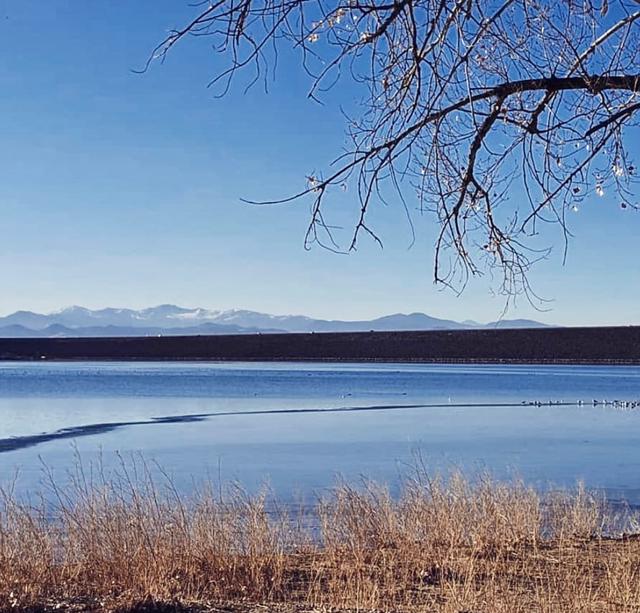 Cherry Creek Reservoir