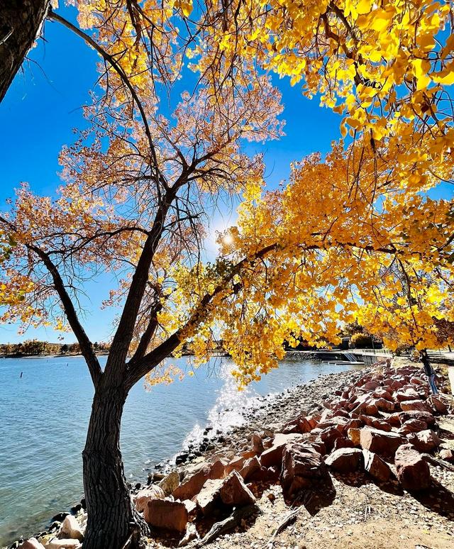 Cherry Creek Reservoir