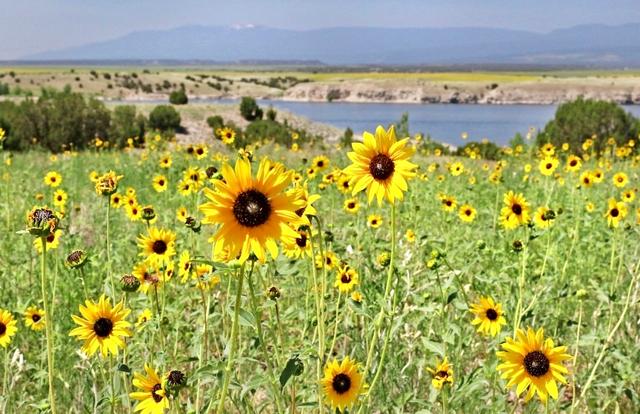 Cherry Creek State Park Campground