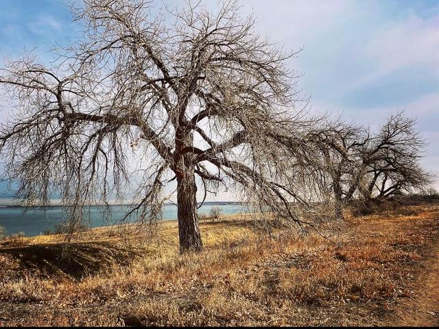 Standley Regional Park Campground