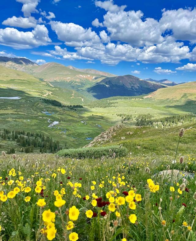 Bierstadt Trailhead