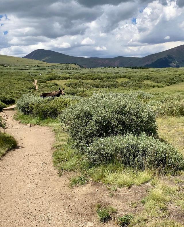 Bierstadt Trailhead