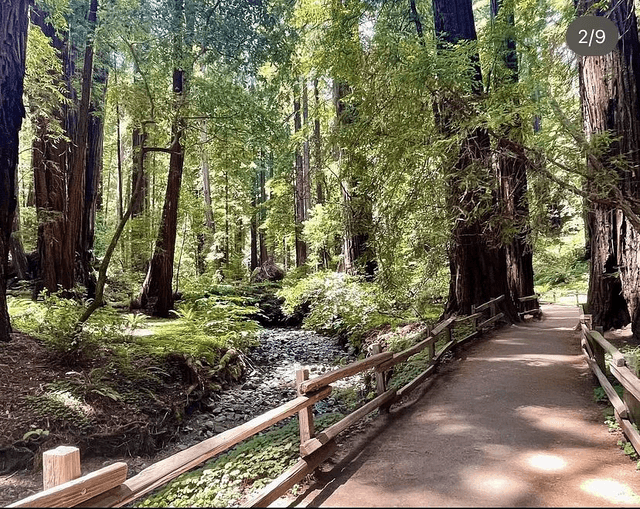 Muir Woods Main Trailhead