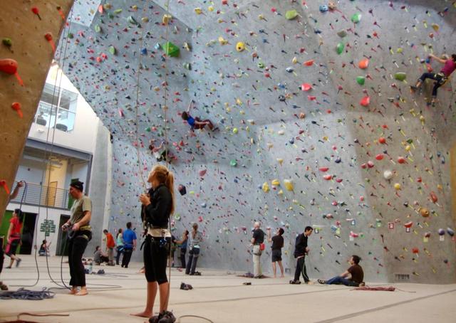 Movement Climbing & Fitness