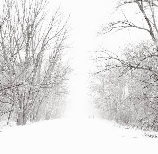 Cherry Creek State Park Nordic Ski