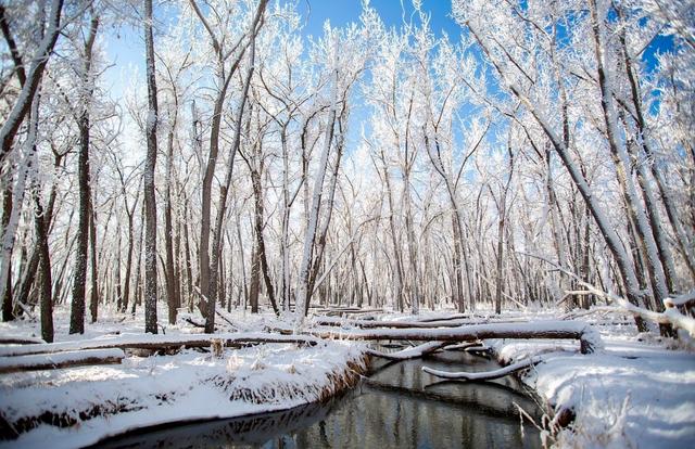 Cherry Creek State Park Nordic Ski