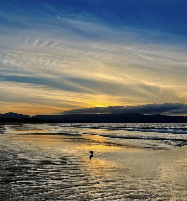 Monterey State Beach