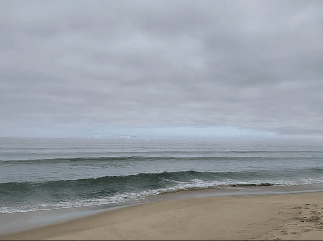 Monterey State Beach