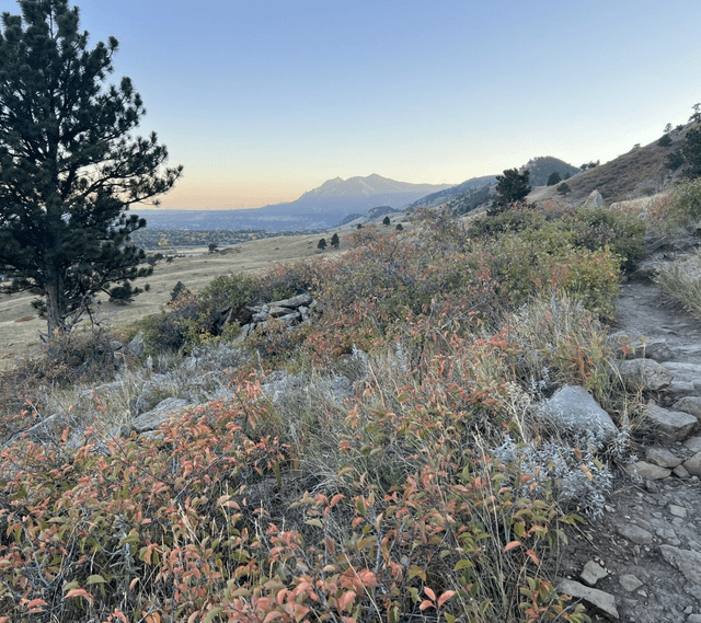 Fourmile Canyon Creek Trailhead