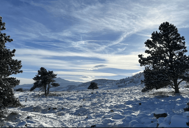 Fourmile Canyon Creek Trailhead