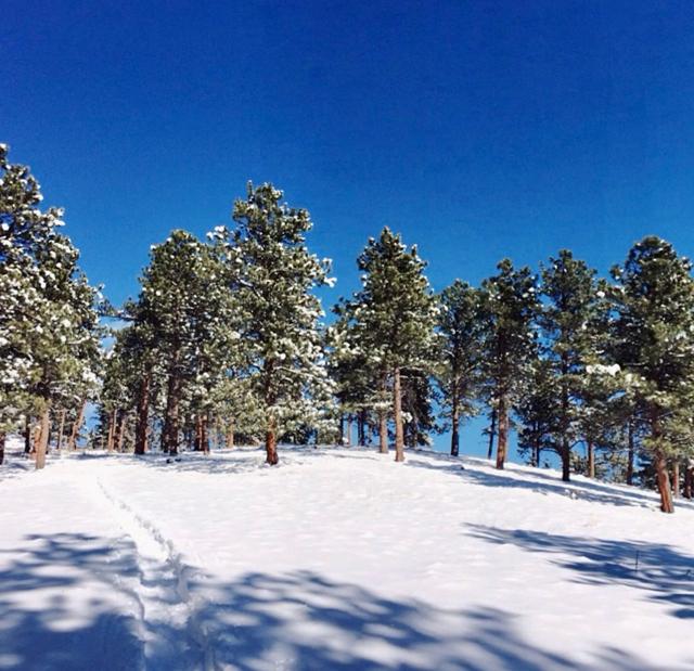 Betasso Preserve Trailhead