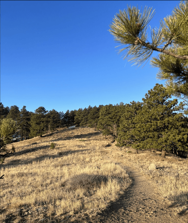 Betasso Preserve Trailhead