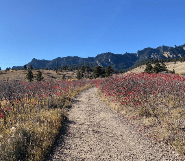 South Mesa Trailhead