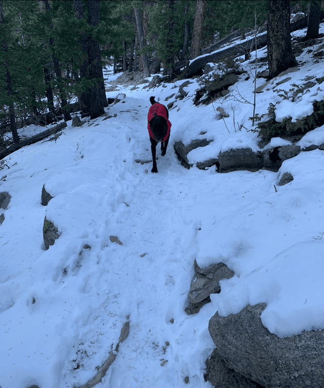 Blue Grouse Trailhead