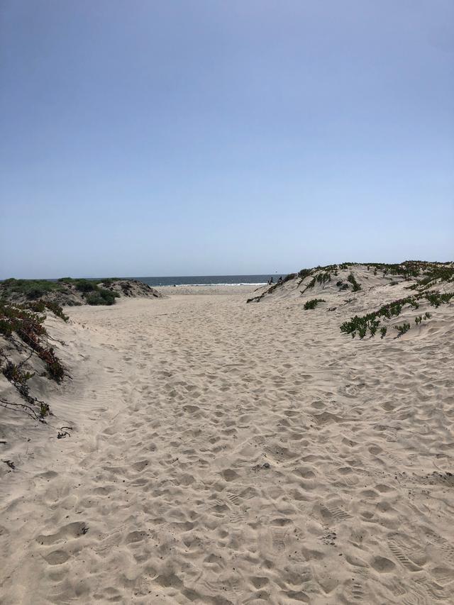 Coronado Beach