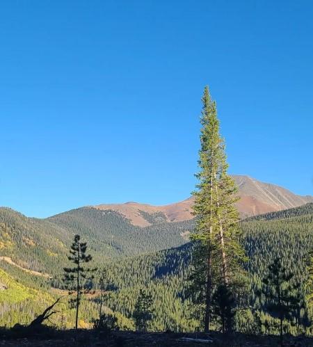 B&B Mine Trailhead